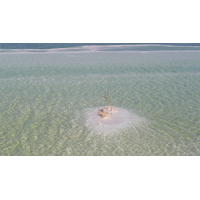 照片 以色列(Israel) 埃因博克(Boqeq) 2007-06 4