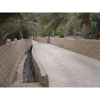照片 阿联酋(United Arab Emirates) 艾因(Al Ain) 艾因绿洲(Al Ain Oasis) 2005-03 38