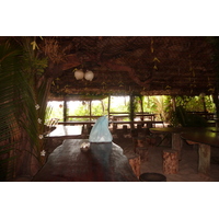 照片 塞舌尔(Seychelles) 拉迪格岛(La Digue) 2011-10 15
