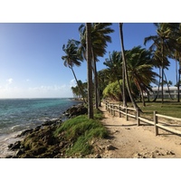 照片 瓜德罗普(Guadeloupe) 卡拉维尔海滩(La Caravelle Beach) 2021-02 19