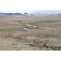 照片 法国(France) 奥布拉克(L'Aubrac) 2008-04 11