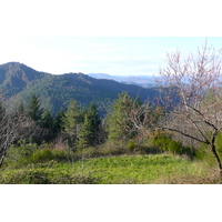 照片 法国(France) 塞文山脉(Cevennes Mountains) 2008-04 94