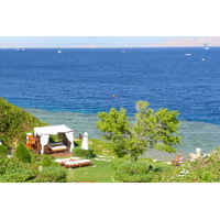 照片 埃及(Egypt) 沙姆沙伊赫(Sharm el Sheikh) 四季酒店(Four Seasons Hotel) 四季酒店海滩(Four Seasons Beach) 2008-06 41