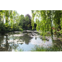 照片 法国(France) 吉维尼(Giverny) 2013-06 172
