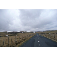照片 法国(France) 奥布拉克(L'Aubrac) 2008-04 21