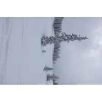 照片 法国(France) 三峡谷滑雪场(Les 3 Vallees) 2013-03 398