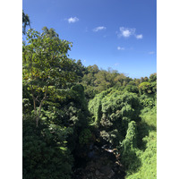 照片 瓜德罗普(Guadeloupe) 大苏弗里耶尔火山(La Grande Soufriere) 2021-02 33