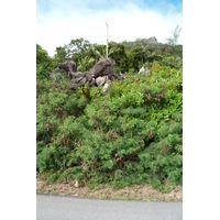 照片 塞舌尔(Seychelles) 普拉兰岛(Praslin) 2011-10 13
