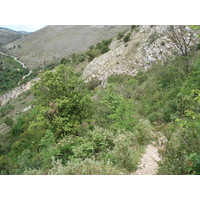 照片 法国(France) 旺斯(Vence) 巴乌山(Baou) 2006-06 6