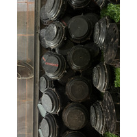 照片 柬埔寨(Cambodia) 暹粒(Siem Reap) 柬埔寨地雷博物馆(Cambodia Landmine Museum) 2023-01 5
