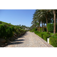 照片 埃及(Egypt) 沙姆沙伊赫(Sharm el Sheikh) 四季酒店(Four Seasons Hotel) 四季酒店海滩(Four Seasons Beach) 2008-06 17