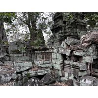 照片 柬埔寨(Cambodia) 暹粒(Siem Reap) 塔布茏寺(Ta Prohm) 2023-01 150