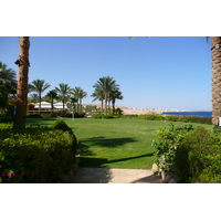 照片 埃及(Egypt) 沙姆沙伊赫(Sharm el Sheikh) 四季酒店(Four Seasons Hotel) 四季酒店海滩(Four Seasons Beach) 2008-06 28