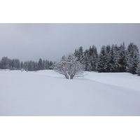 照片 法国(France) 三峡谷滑雪场(Les 3 Vallees) 2013-03 114