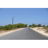 照片 以色列(Israel) 尼灿(Nitzan) 2007-06 82