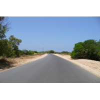 照片 以色列(Israel) 尼灿(Nitzan) 2007-06 74