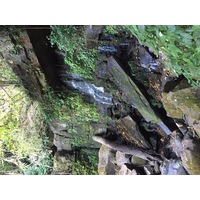 照片 泰国(Thailand) 普欣隆卡国家公园(Phu Hin Rong Kla National Park) 2014-12 205
