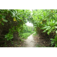照片 塞舌尔(Seychelles) 拉迪格岛(La Digue) 2011-10 248
