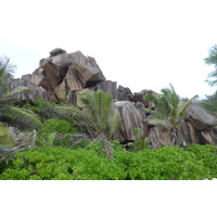 照片 塞舌尔(Seychelles) 拉迪格岛(La Digue) 2011-10 187