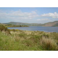 照片 爱尔兰(Ireland) 凯里郡(Kerry) 卡拉湖(Caragh Lake) 2004-05 34