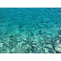 照片 希腊(Greece) 库福尼西亚群岛(Koufonissia) 2014-07 55
