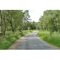 照片 英国(United Kingdom) 凯恩戈姆山国家公园(Cairngorms National Park) 2011-07 128