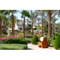 照片 埃及(Egypt) 沙姆沙伊赫(Sharm el Sheikh) 四季酒店(Four Seasons Hotel) 四季酒店海滩(Four Seasons Beach) 2008-06 23