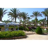 照片 埃及(Egypt) 沙姆沙伊赫(Sharm el Sheikh) 四季酒店(Four Seasons Hotel) 四季酒店海滩(Four Seasons Beach) 2008-06 26