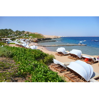 照片 埃及(Egypt) 沙姆沙伊赫(Sharm el Sheikh) 四季酒店(Four Seasons Hotel) 四季酒店海滩(Four Seasons Beach) 2008-06 18