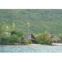 照片 波利尼西亚(Polynesia) 莫雷阿岛(Moorea) 2006-04 169