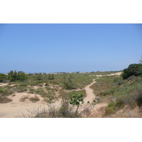 照片 以色列(Israel) 尼灿(Nitzan) 2007-06 15