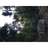 照片 泰国(Thailand) 普欣隆卡国家公园(Phu Hin Rong Kla National Park) 2014-12 202