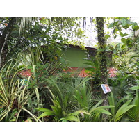 照片 哥斯达黎加(Costa Rica) 塔拉曼卡旧港(Puerto Viejo de Talamanca) 2015-03 48