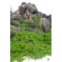 照片 塞舌尔(Seychelles) 2011-10 47