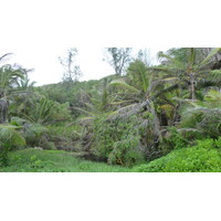 照片 塞舌尔(Seychelles) 拉迪格岛(La Digue) 2011-10 46