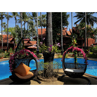 照片 泰国(Thailand) 普吉岛(Phuket) 芭东(Patong) 皇家帕瓦迪村酒店(Royal Phawadee Village Hotel) 2021-12 92