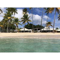 照片 瓜德罗普(Guadeloupe) 卡拉维尔海滩(La Caravelle Beach) 2021-02 35