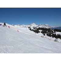 照片 法国(France) 孔布卢(Combloux) 2012-02 115