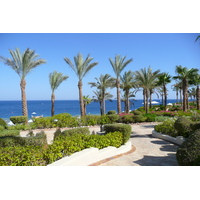 照片 埃及(Egypt) 沙姆沙伊赫(Sharm el Sheikh) 四季酒店(Four Seasons Hotel) 四季酒店海滩(Four Seasons Beach) 2008-06 19