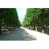 照片 法国(France) 巴黎(Paris) 杜乐丽花园(Garden of Tuileries) 2007-05 42