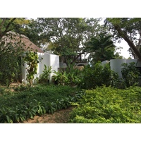 照片 泰国(Thailand) 沙美岛(Ko Samet) 2014-12 32