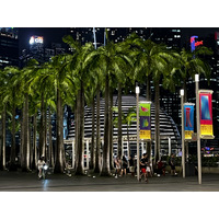 照片 新加坡(Singapore) 滨海湾金沙(Marina Bay Sands) 2023-01 29