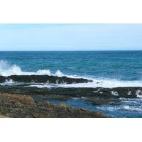 照片 南非(South Africa) 齐齐卡马国家公园(Tsitsikamma National Park) 2008-09 352