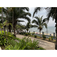 照片 泰国(Thailand) 芭提雅(Pattaya) 2023-01 74