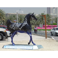 照片 阿联酋(United Arab Emirates) 迪拜(Dubai) 2005-03 141