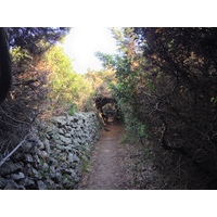 照片 意大利(Italy) 撒丁岛(Sardinia) 加卢拉波托贝洛(Portobello di Gallura) 2015-06 11