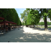 照片 法国(France) 巴黎(Paris) 杜乐丽花园(Garden of Tuileries) 2007-05 54