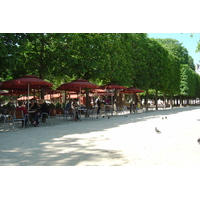 照片 法国(France) 巴黎(Paris) 杜乐丽花园(Garden of Tuileries) 2007-05 73