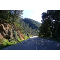 照片 法国(France) 塞文山脉(Cevennes Mountains) 2008-04 52