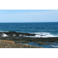 照片 南非(South Africa) 齐齐卡马国家公园(Tsitsikamma National Park) 2008-09 129